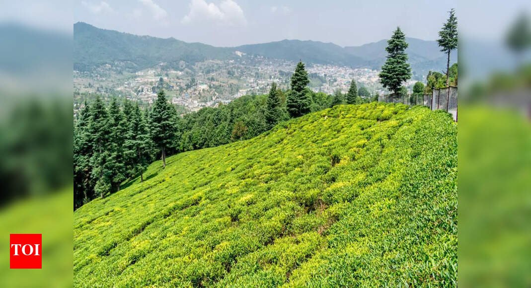 Uttarakhand travel, uttarakhand tourism, places to visit in uttarakhand, things to do in uttarakhand, hill stations in uttarakhand |