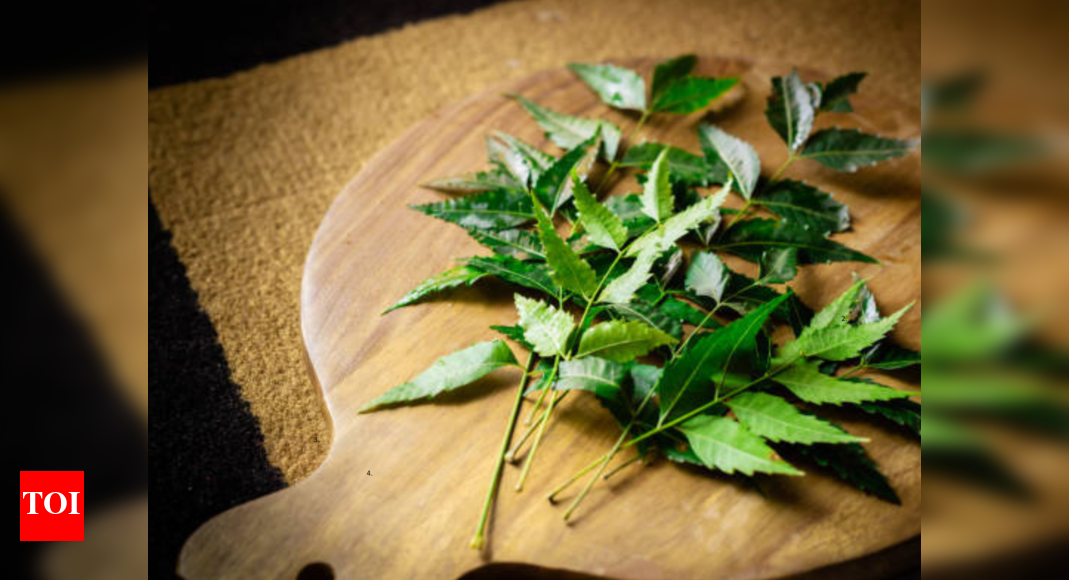 Why neem is the skincare hero you didn’t know you needed