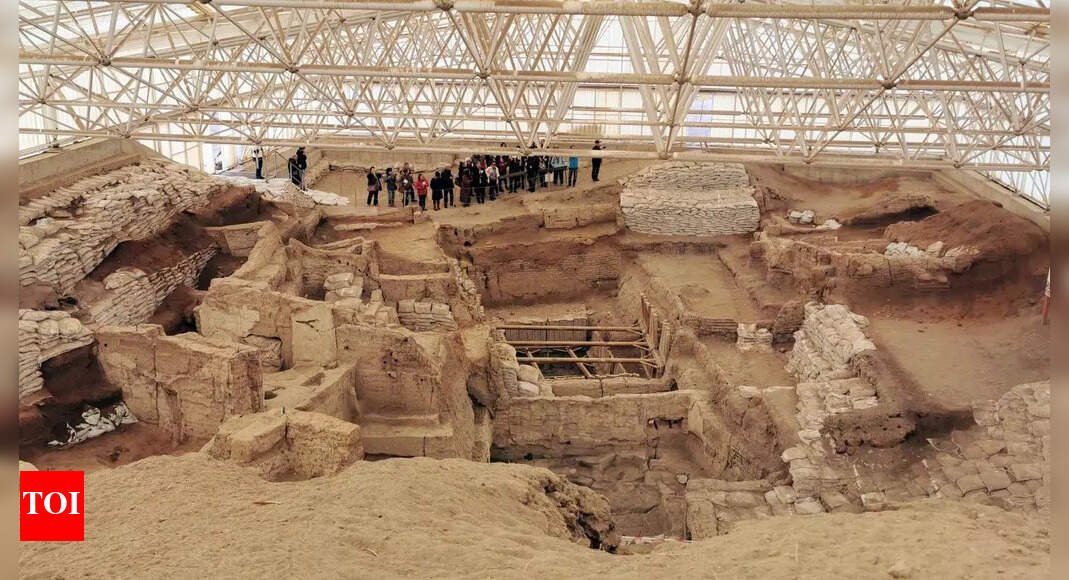 Catalhoyuk: 9,000-year-old city ruled by women, DNA reveals story of matriarchal civilization |
