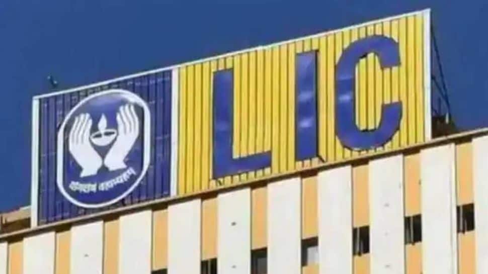 LIC Records 13.8% Jump In Group Premium During May | Economy News