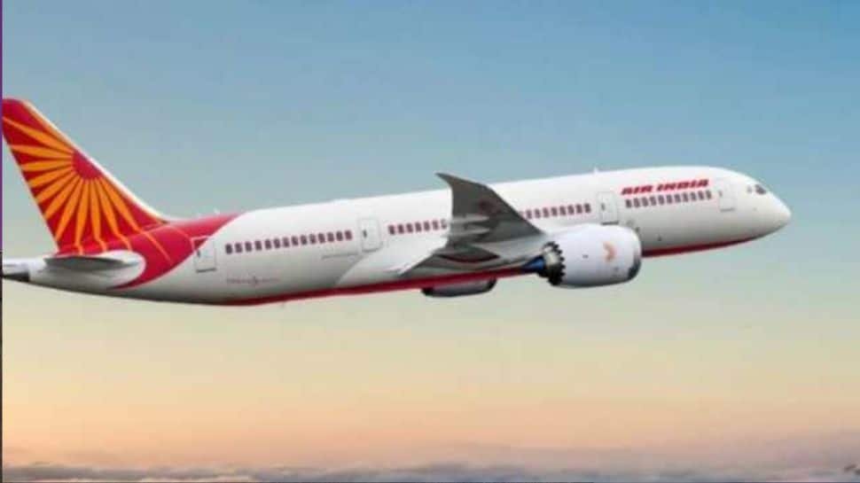Middle East Tensions, Flight Crash Send Airline Stocks Tumbling | Economy News