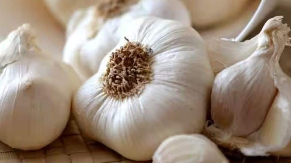 Garlic Cultivation In Himachal Expanded To 4,000 Hectares: Experts | Economy News