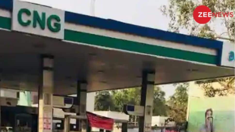 CNG Poised For Significant Growth As India Focuses On Energy Transition: Crisil | Economy News