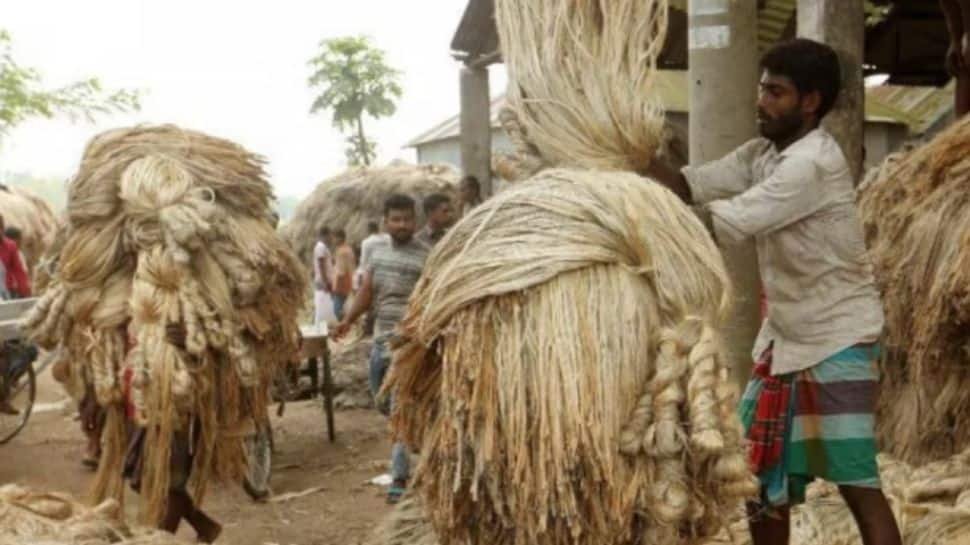 India Restricts Imports Of Jute, Its Derivatives From Bangladesh | Economy News
