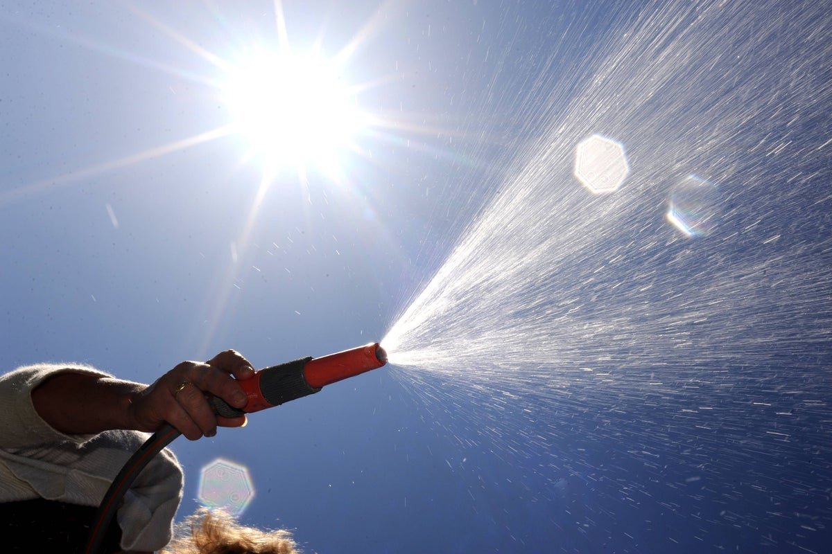 How to manage your garden in a heatwave