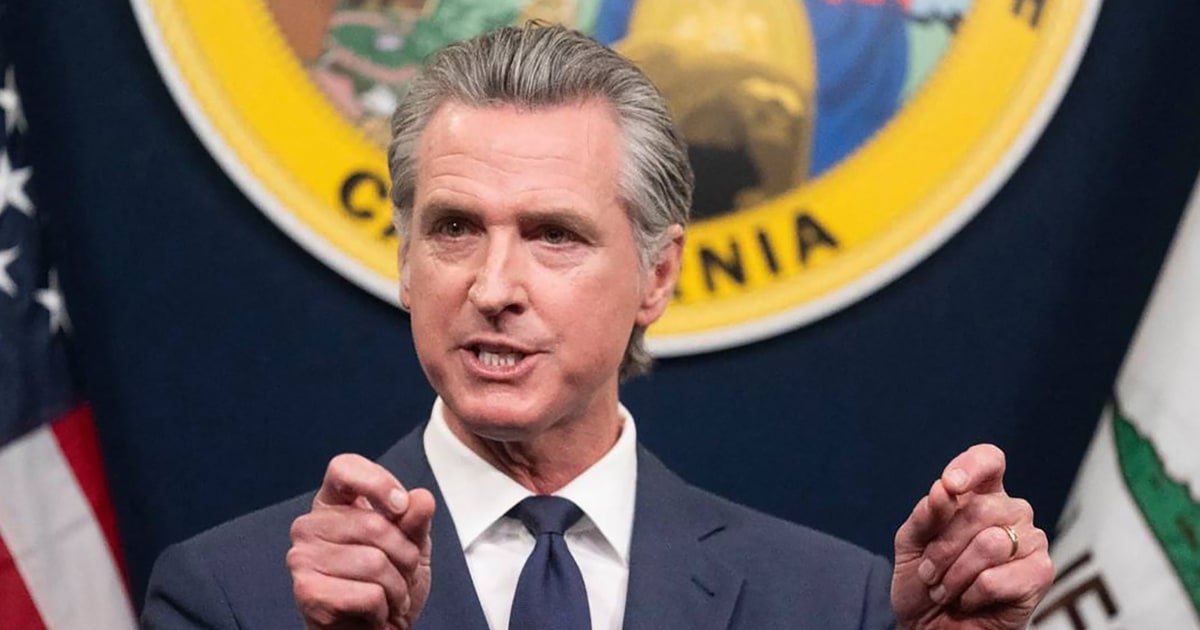 Gavin Newsom says democracy under assault while blasting Trump's immigration tactics