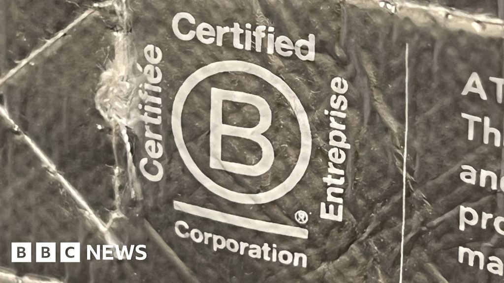 The global environmental award hit by accusations of greenwashing