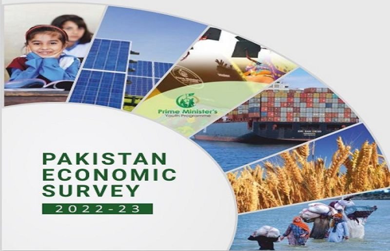 Pakistan Economic Survey 2024-25: Fiscal Gains and Stabilization