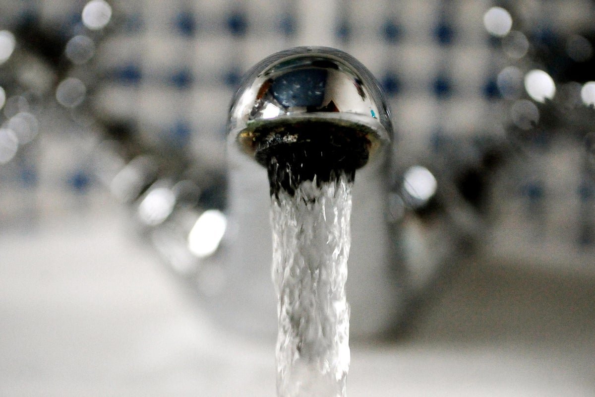 Water sector needs ‘root-and-branch’ reform, MPs say
