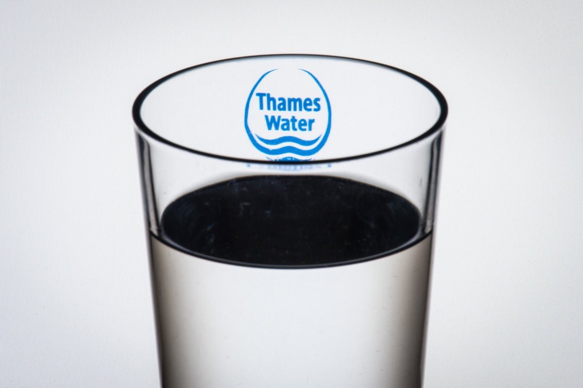 Government will not be lenient with Thames Water creditors, suggests Reed