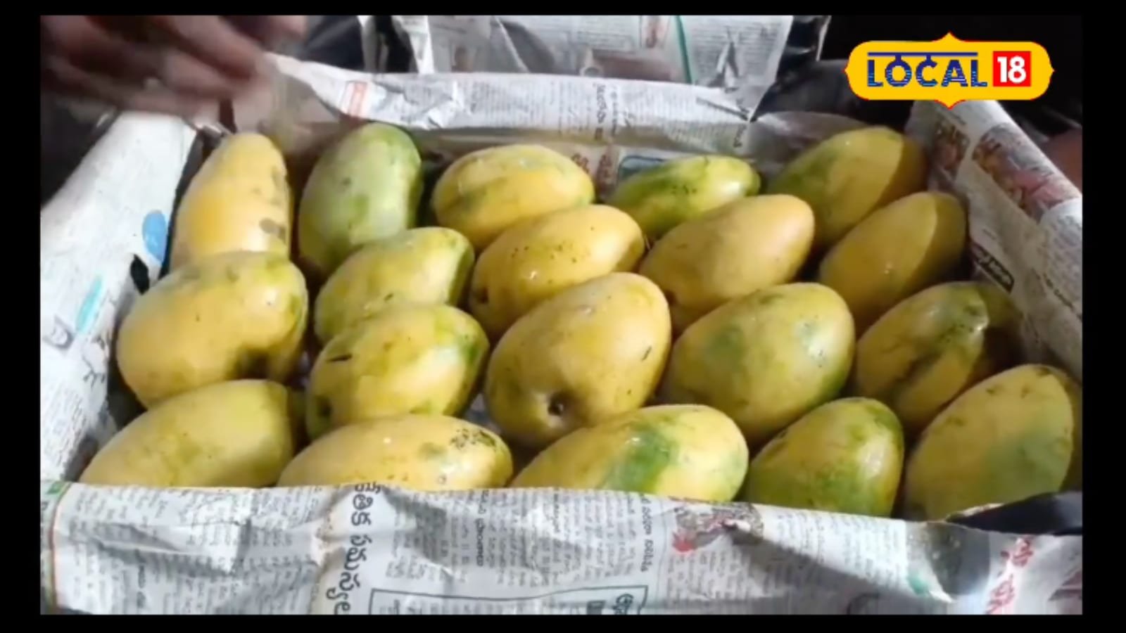 Telangana’s Badami Mango Soaring In Popularity This Summer