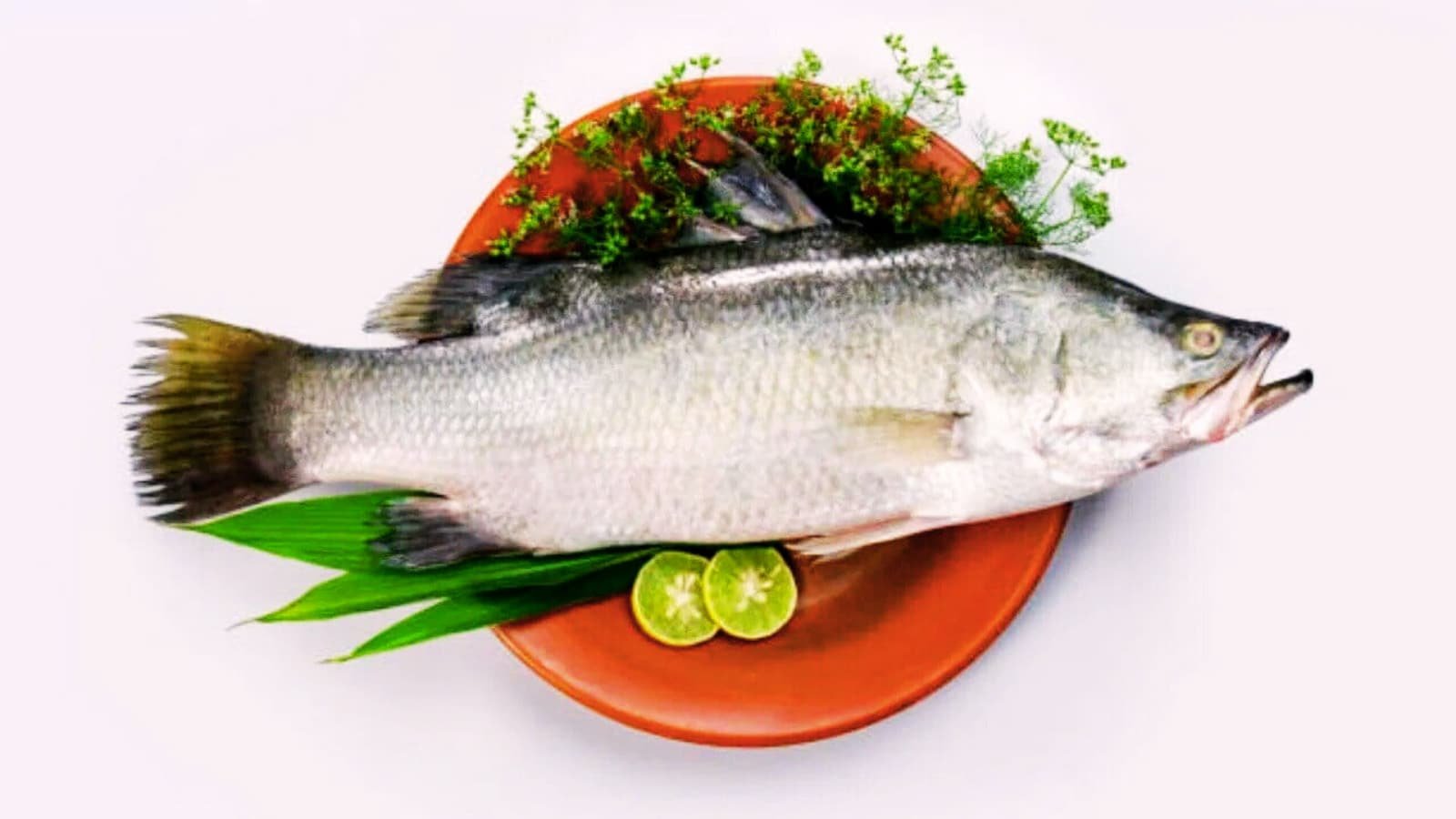 Can This Fish Really Control Blood Sugar, Cut Cholesterol, And Boost Heart Health?