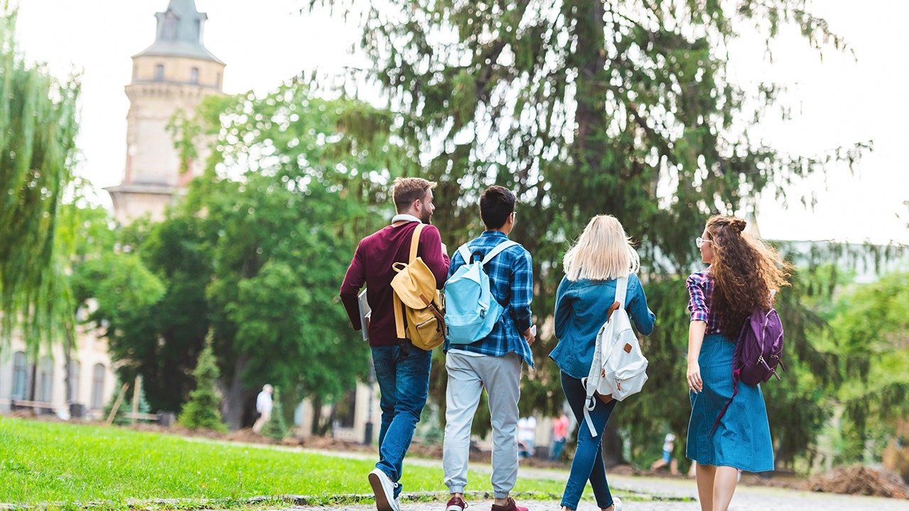 Southern states join forces to break free from 'woke accreditation cartels'