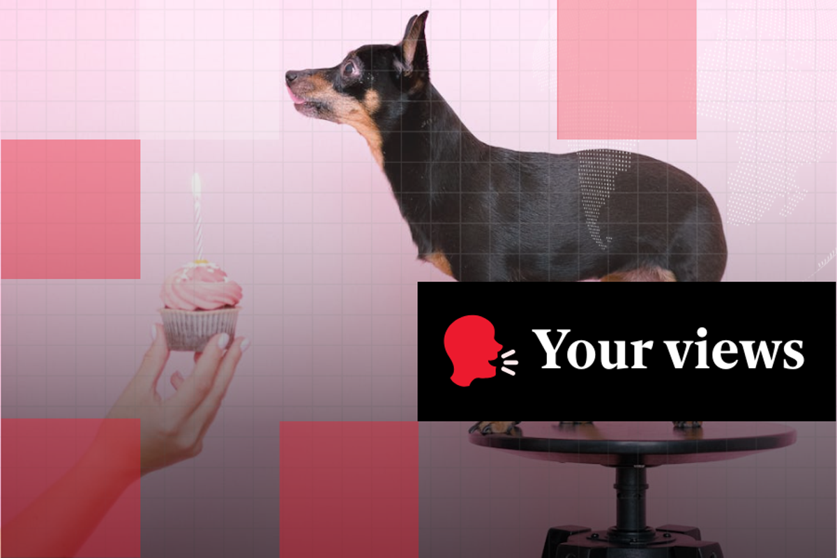 ‘Worth every penny’ or ‘a bit OTT’? Readers debate the rise of expensive dog birthday parties