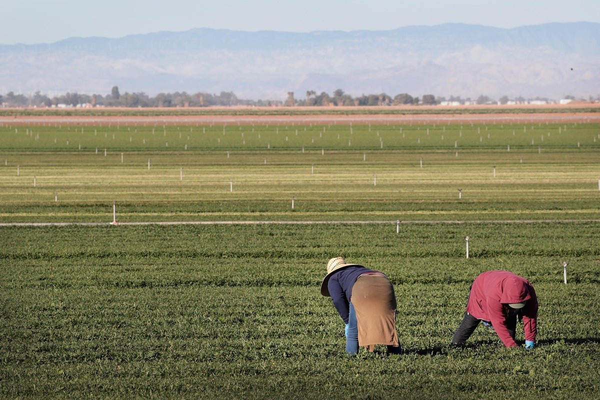 These foods are new to the ‘dirty dozen’ list of those with pesticide residue