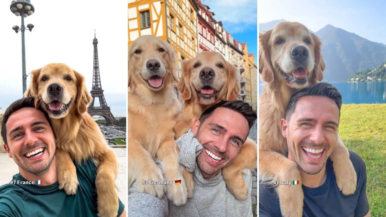 Two Globe-Trotting Golden Retrievers Spread Joy Worldwide with Cute Selfies