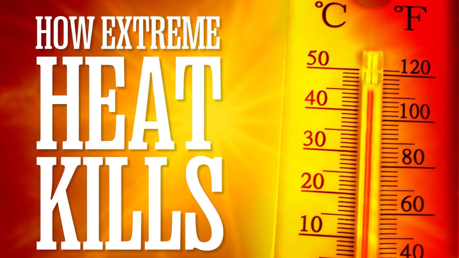 Heatwave Crisis: How Extreme Heat Kills