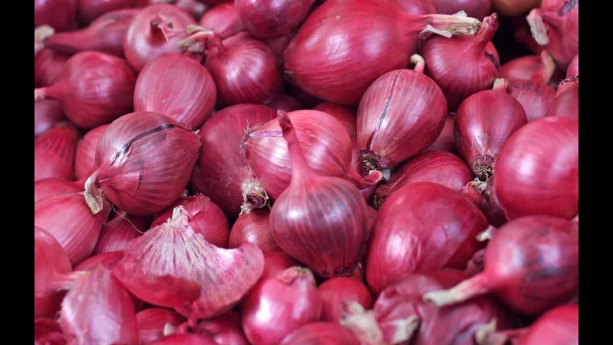 Worried About Onions Rotting In The Rain? Here’s How To Store Them Right | Lifestyle News