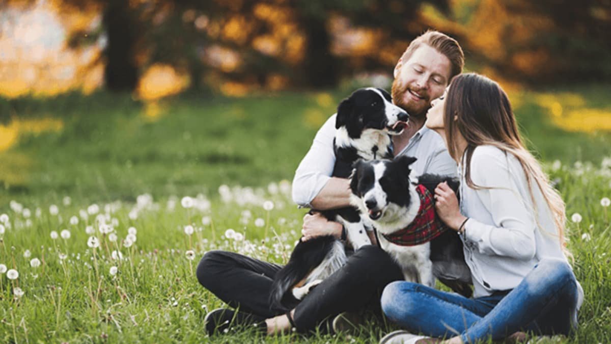 Tech for Tails: How Smart Pet Care Is Changing the Game in India