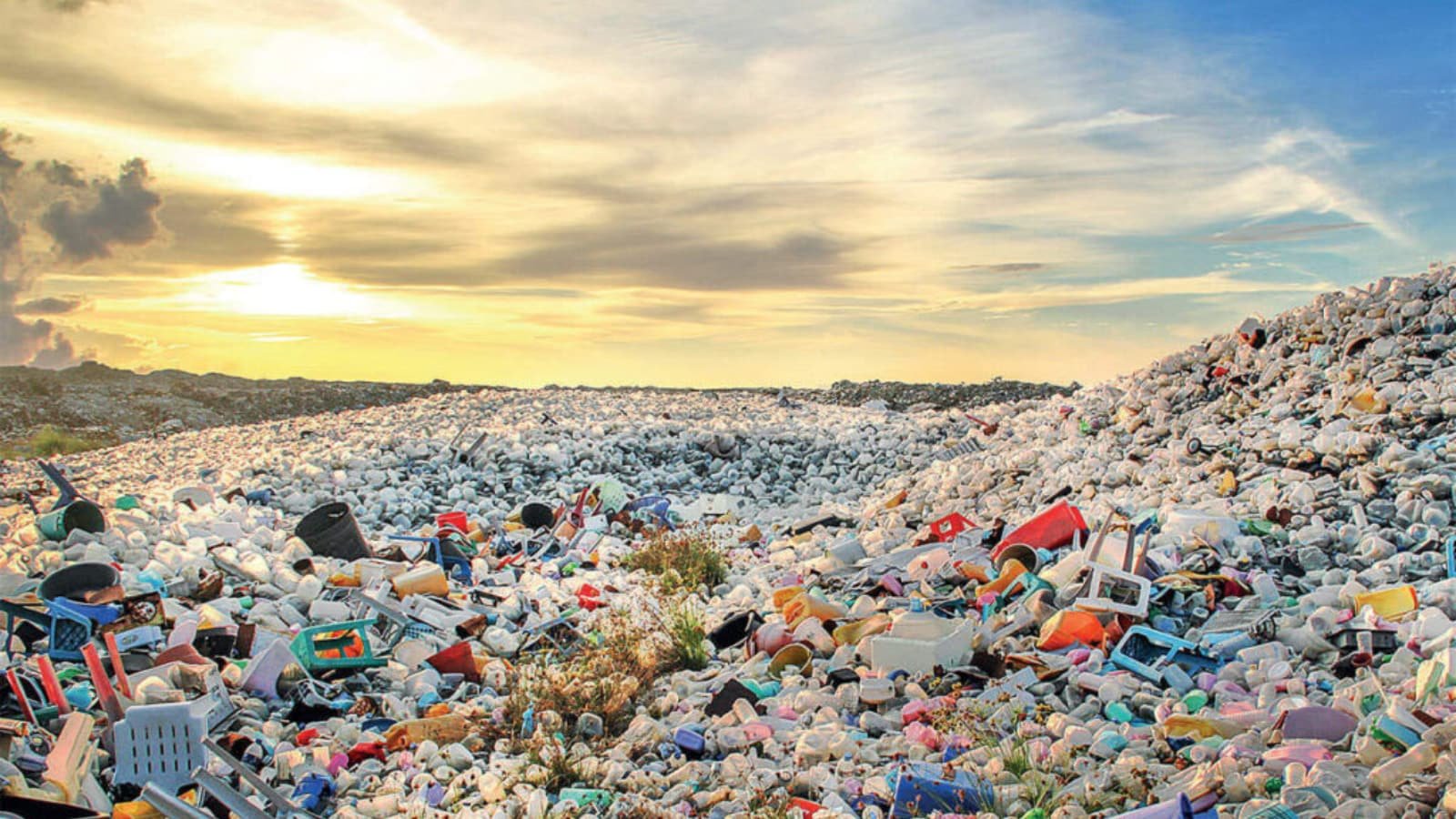 Driving Change Together: A New Push to Tackle Plastic Waste Across Urban India