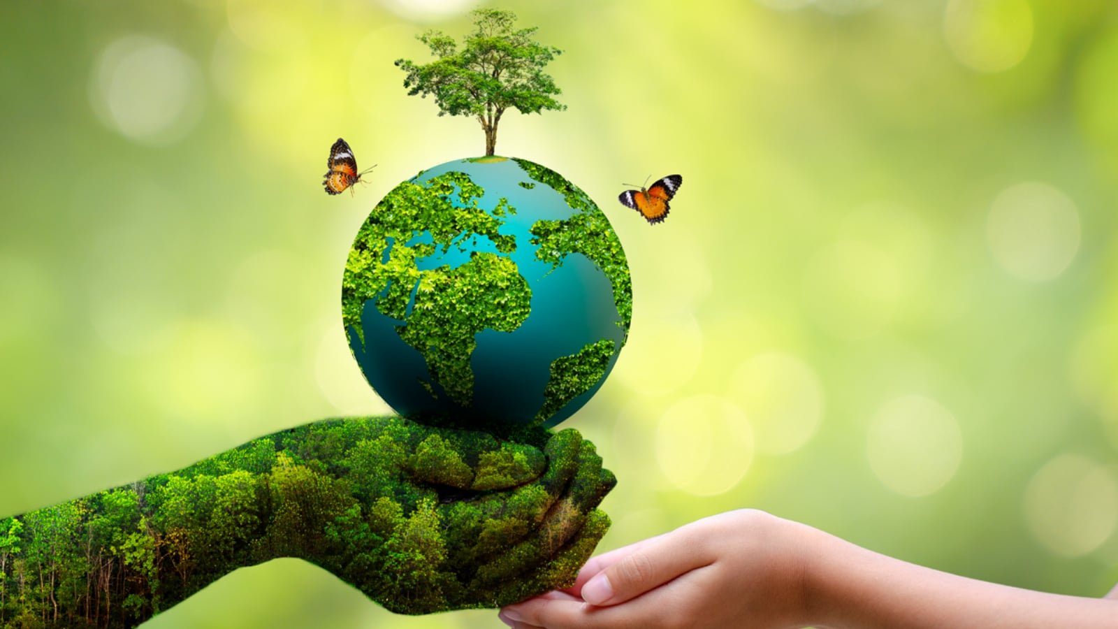 3 Indian Brands Giving Natural Materials a Beautiful Second Life