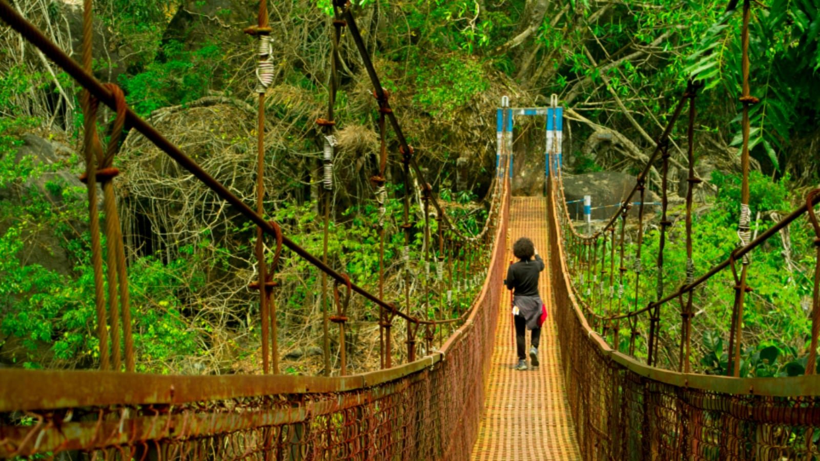 A Monsoon Escape to Meghalaya: Nature, Caves, Waterfalls And Whispering Clouds