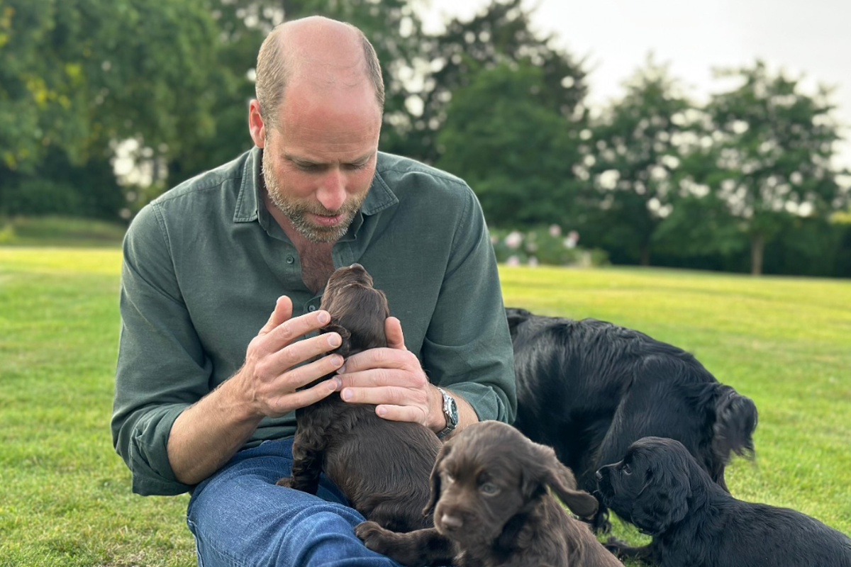 Kate Middleton celebrates Prince William’s birthday with new dog photos
