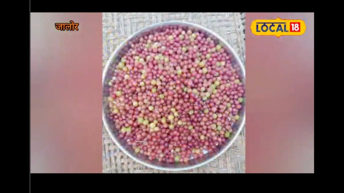 Nature’s AC: The Mysterious Fruit That Cools You Down In 50°C Rajasthan Heat | Lifestyle News