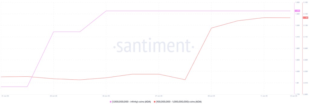 Cardano whale holdings (100M - 1B,  1B+). Source: Santiment.
