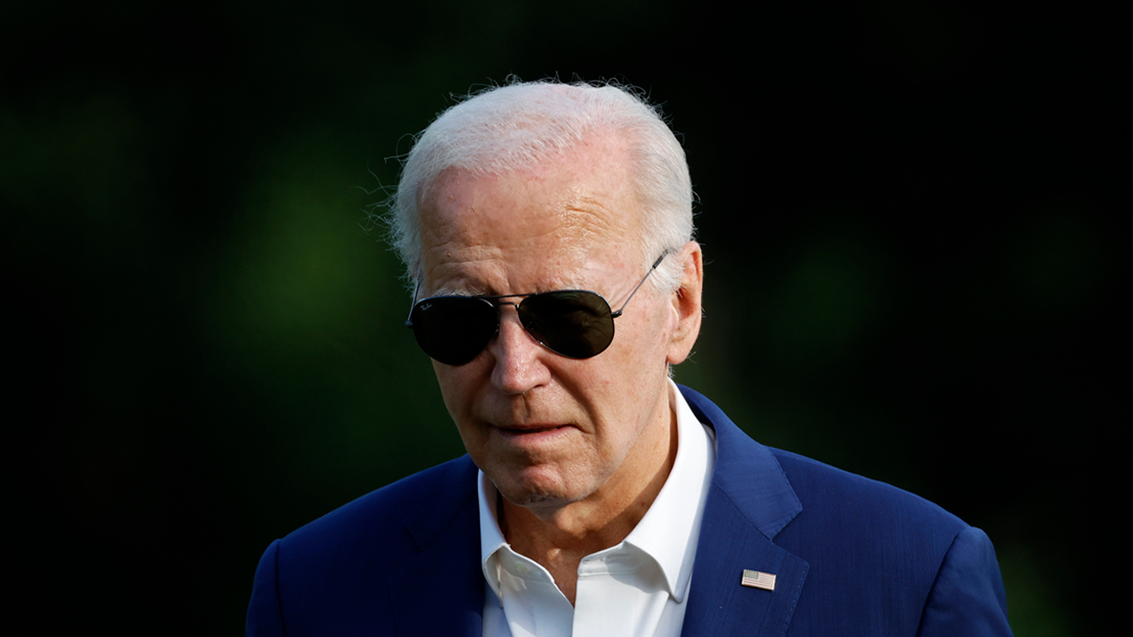 Democrats 'leaderless and message-less,' says former Clinton strategist