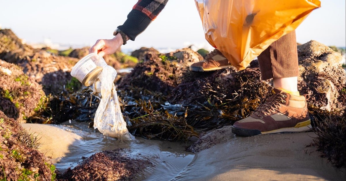 Plastic bag regulations have led to significant decrease in shoreline litter, study finds