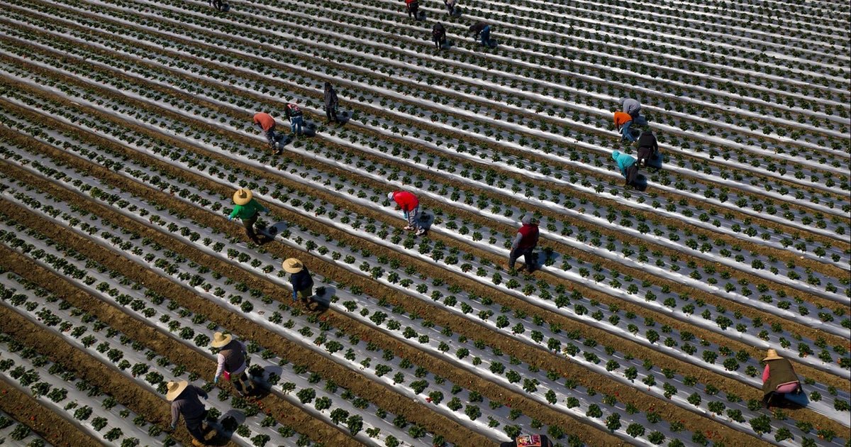 Which industries will be hit hardest by deportations?