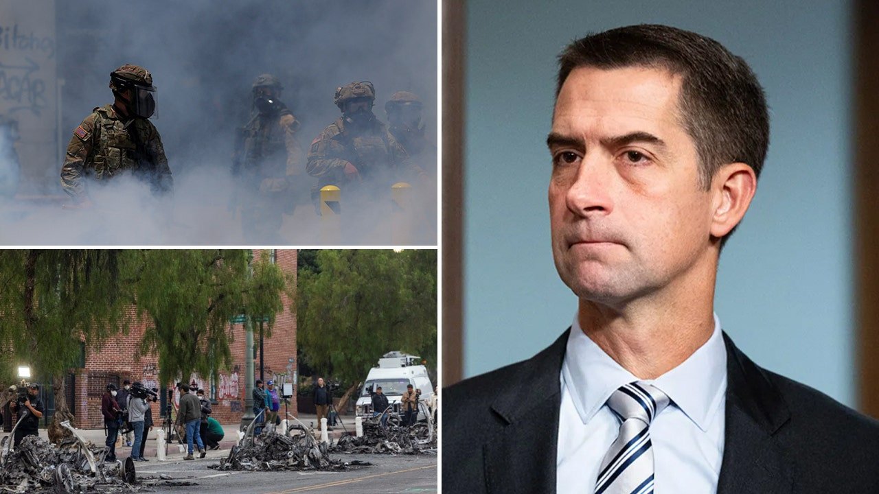 Cotton proposes harsh penalties for immigration protesters in Los Angeles