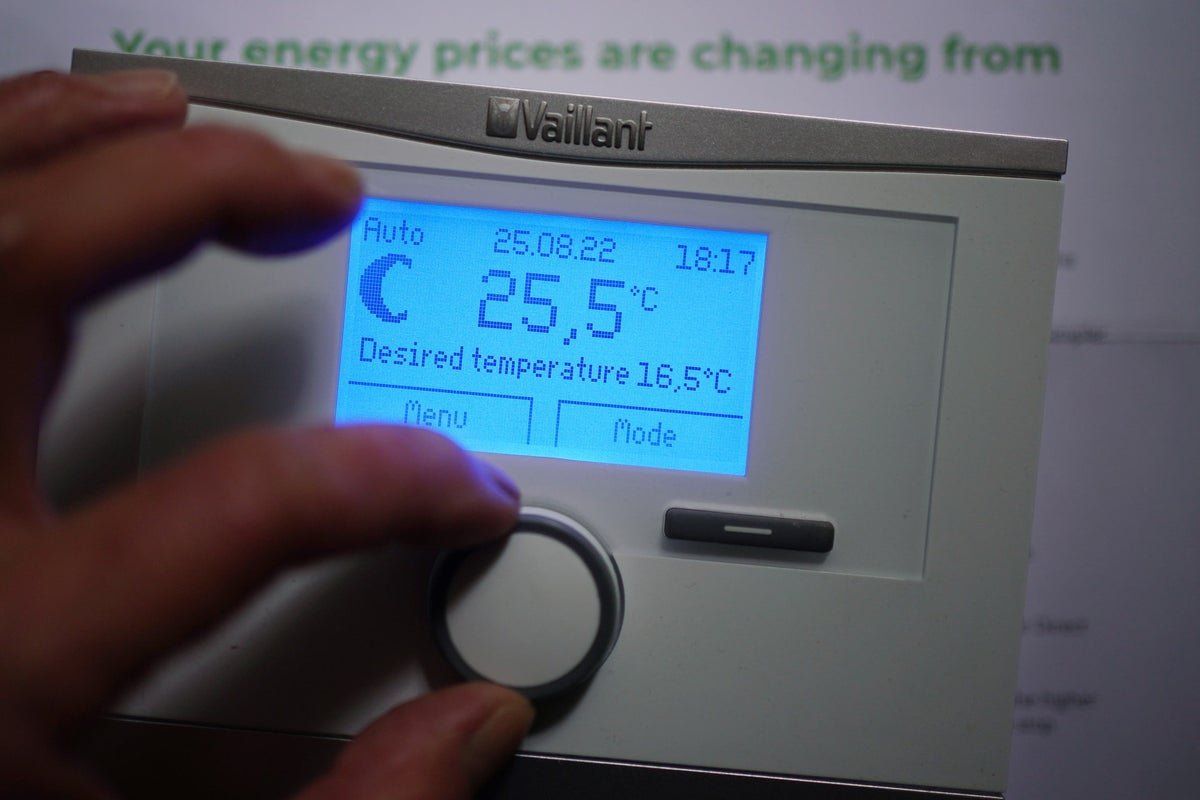 Energy market needs more time-based tariffs, Ofgem boss tells MPs