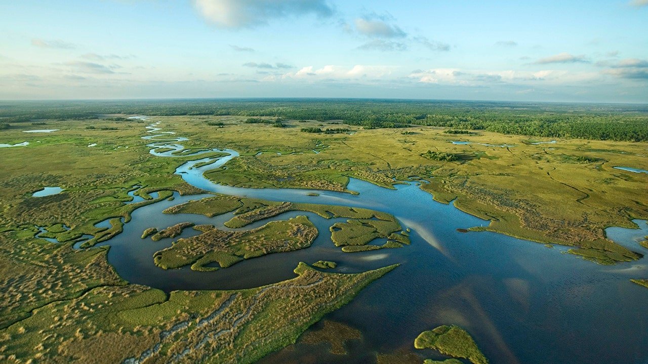 1,000-bed ICE detention facility being built in Florida's Everglades