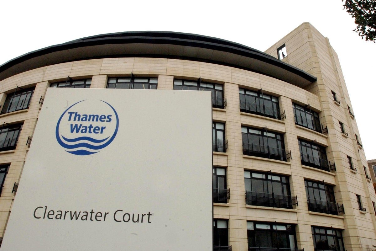 Public ownership ‘not the answer’ says Reed after Thames Water deal collapse