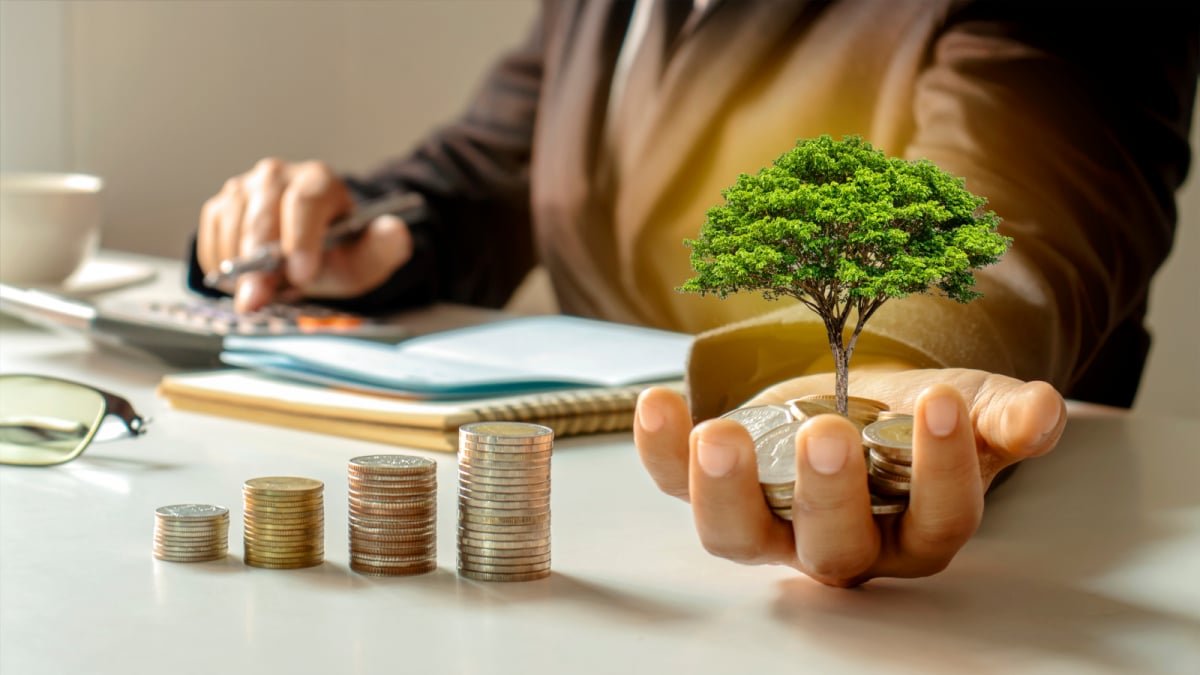 Multi-Cap Vs Flexi-Cap Funds: Choosing the Right Fit for Your Portfolio | Savings and Investments News