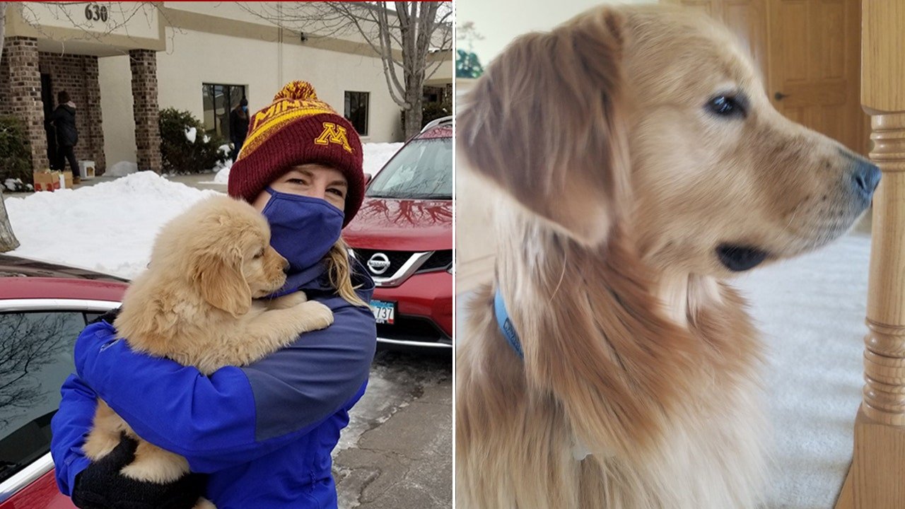 Minnesota lawmaker's rescue dog Gilbert euthanized after family murder