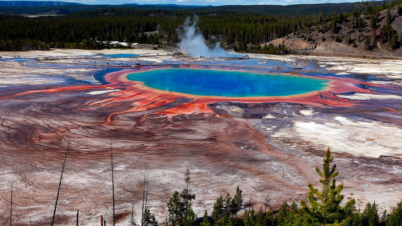 Bison dies after falling into Grand Prismatic Spring at Yellowstone National Park