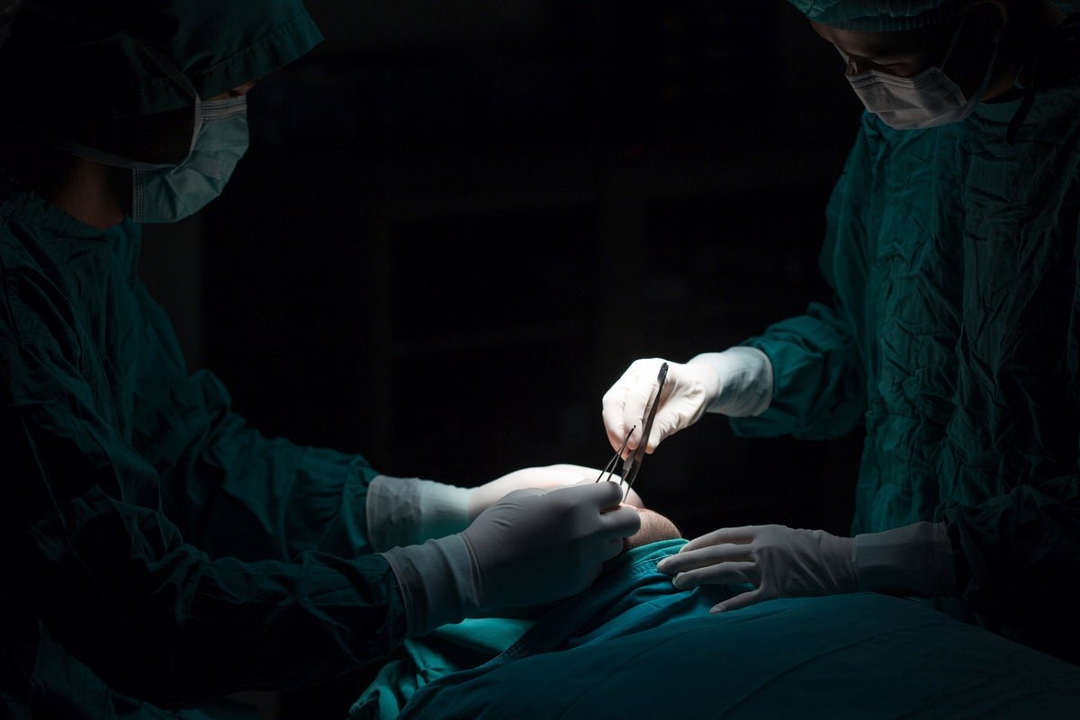New research challenges theory that the appendix serves no purpose