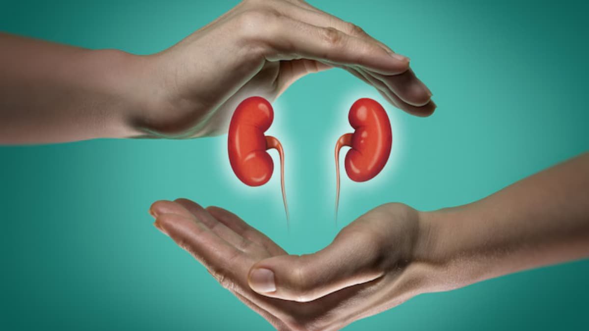 Why Regular Kidney Cancer Screening After 40 Is a Must
