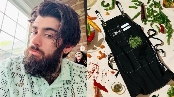 Zayn Malik embraces culinary passion in bold new career move