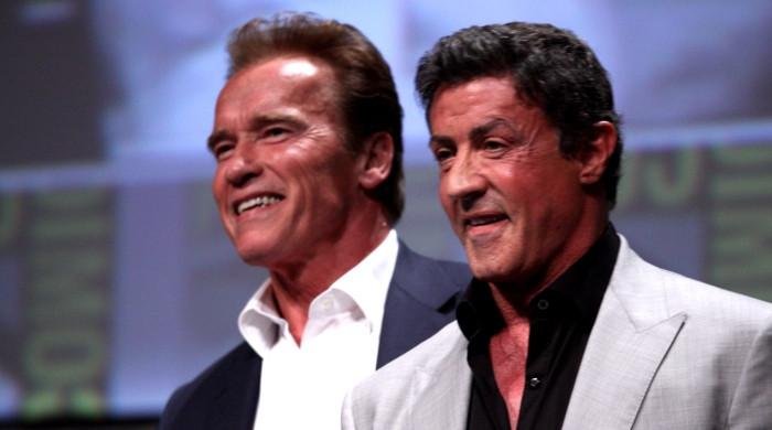 Arnold Schwarzenegger recalls past feud with Sylvester Stallone: ‘Hated each other’