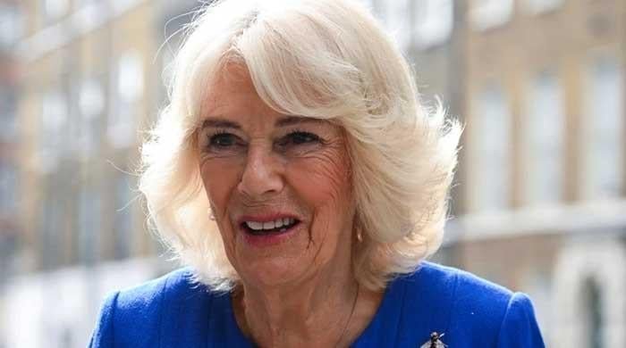 Queen Camilla to feature in novel about killer at Buckingham Palace