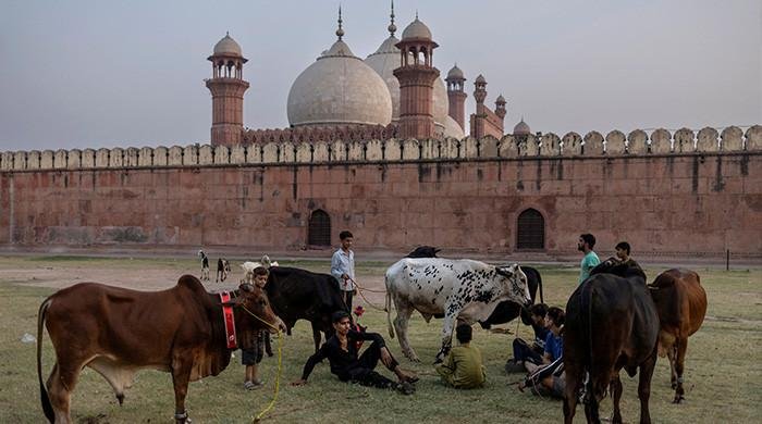 Pakistan marks Eid ul Adha with unwavering unity and hope for regional peace
