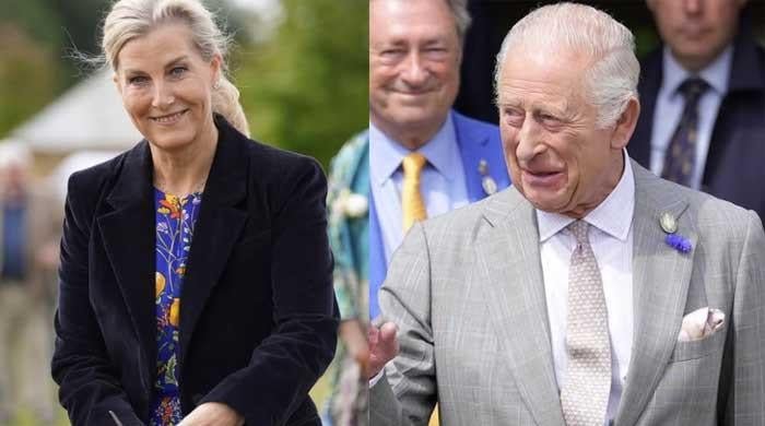 Buckingham Palace issues statement as Duchess Sophie stands in for King Charles