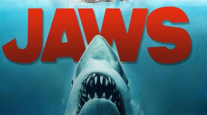 Big plans reveal to celebrate 'Jaws' 50th anniversary