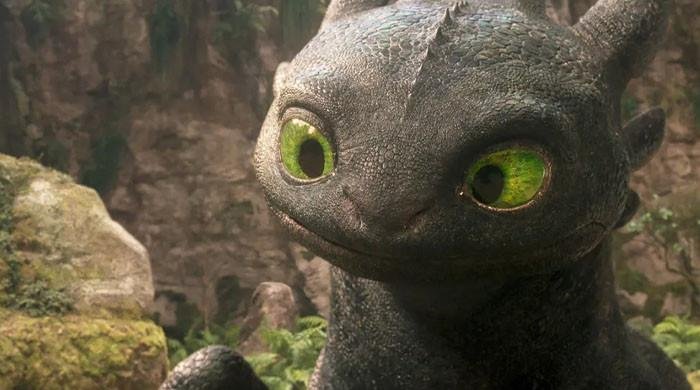 Director shares insight on creating Toothless