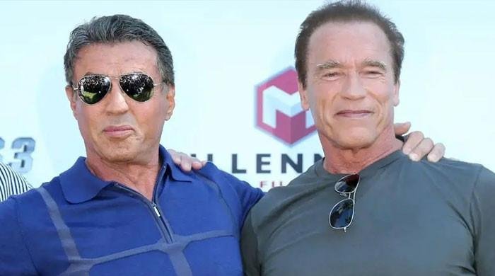 Arnold Schwarzenegger reveals what ended 'nasty' feud with Sylvester Stallone