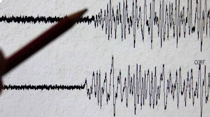 Shallow earthquake shakes Balochistan region, no damage reported